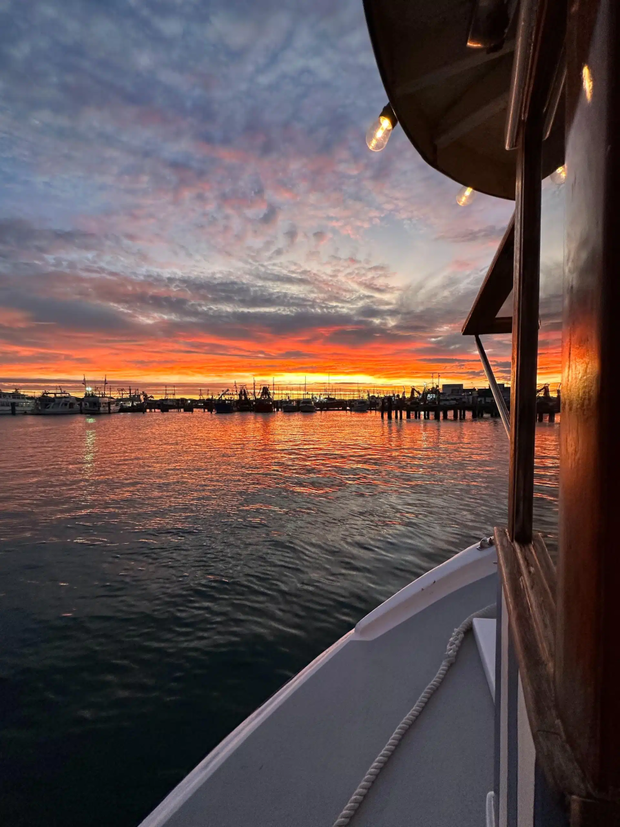 What’s On This Week: Mooloolaba & the Sunshine Coast (Thu 8 Jan – Wed 14 Jan 2026)